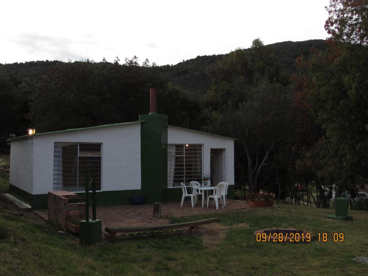 Tipo Loft